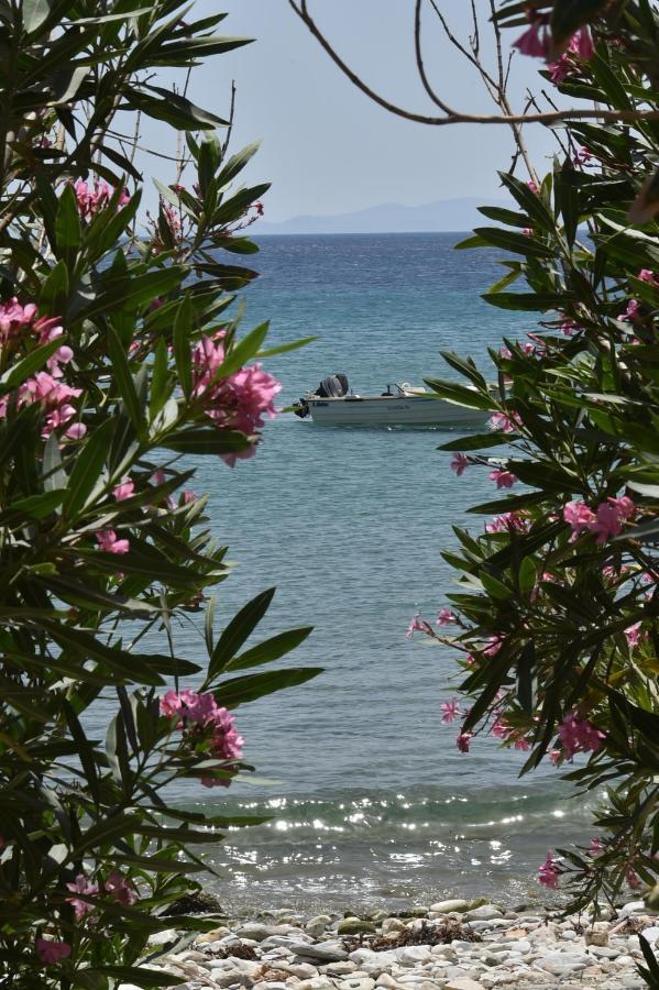 Seaside Home In Kardiani/Giannaki Bay - Agnes'S Home Εξωτερικό φωτογραφία
